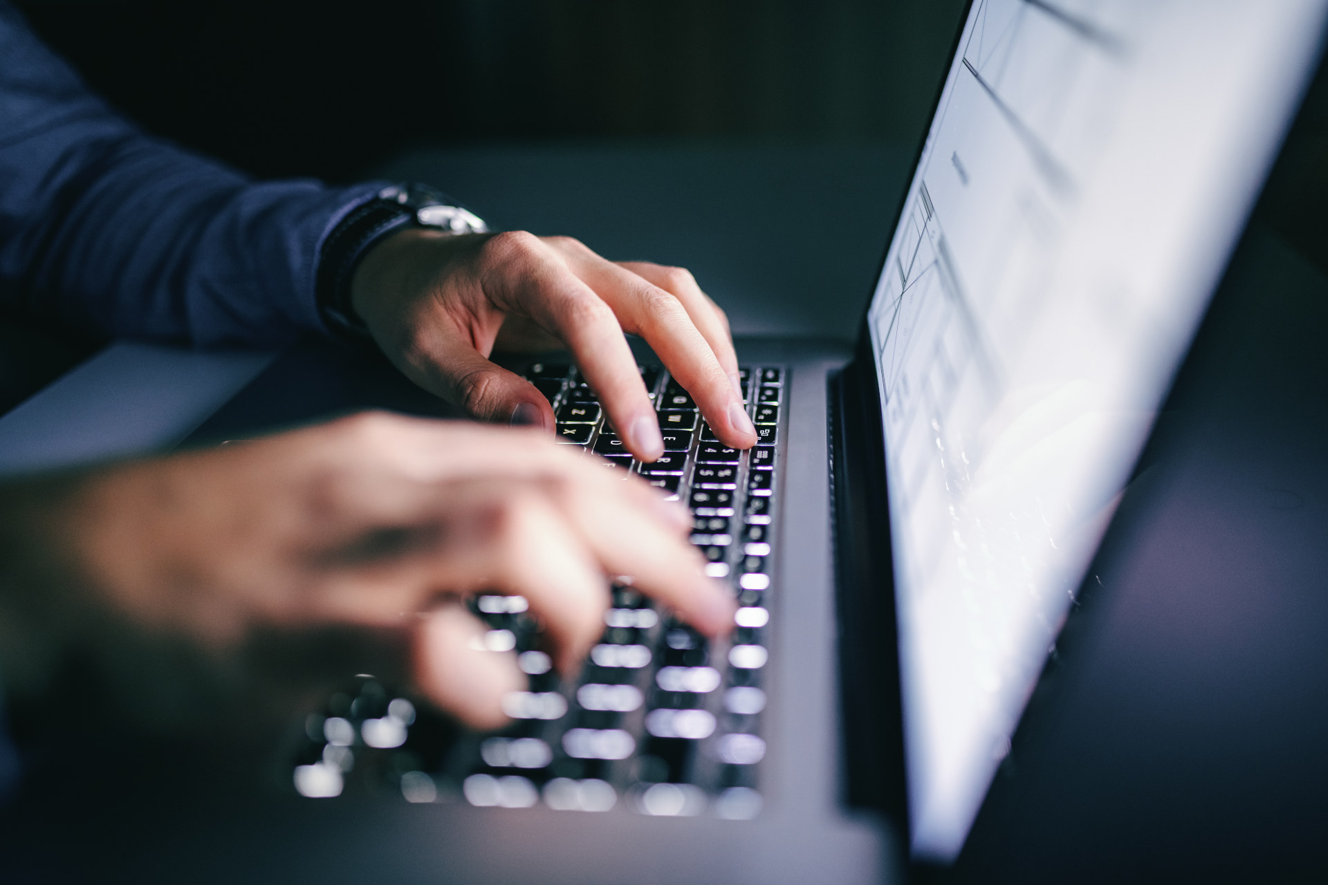 Zrobimy Ci sklep za 50% ceny - tworzenie stron internetowych Złotoryja