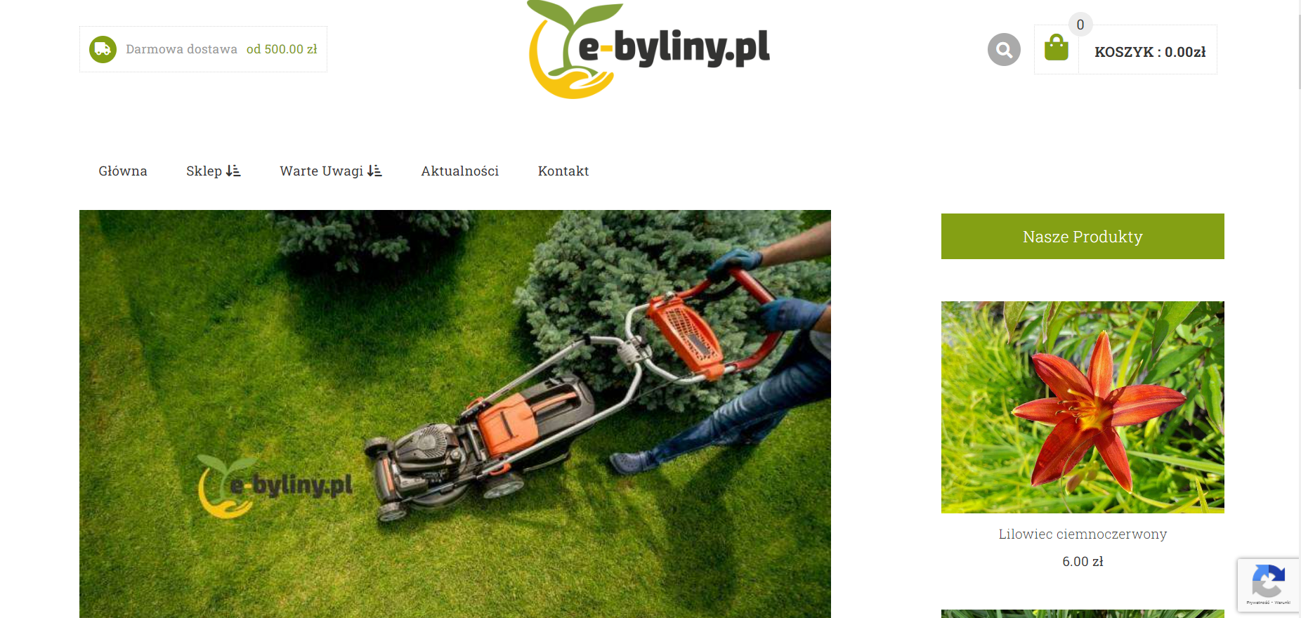 Tworzenie sklepów internetowych Wałbrzych - strony internetowe Wałbrzych - e-byliny
