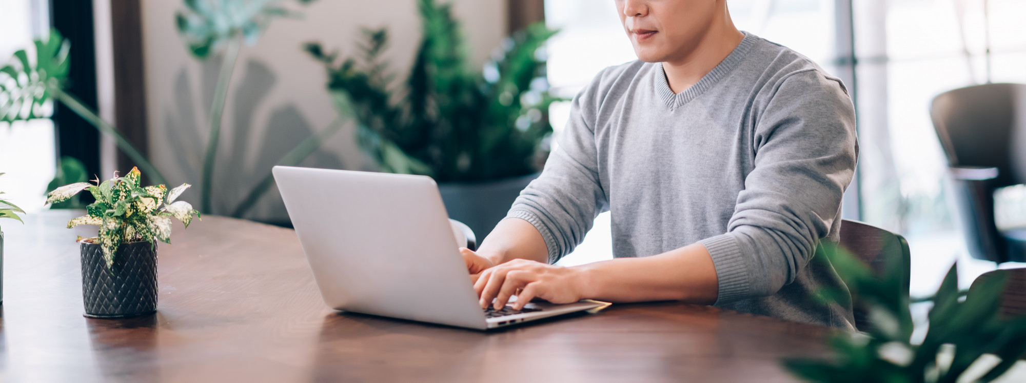 Promocja na strony internetowe - Jawor - Sklep internetowy i nie tylko
